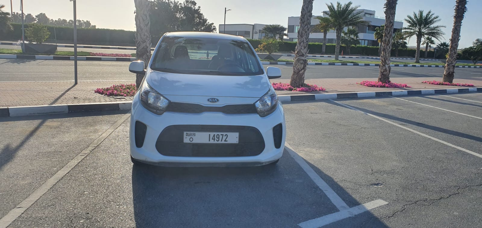 KIA PICANTO WHITE 2021 rental dubai